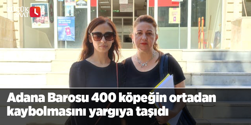 Adana Barosu 400 köpeğin ortadan kaybolmasını yargıya taşıdı