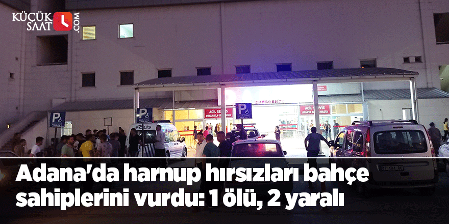 Adana'da harnup hırsızları bahçe sahiplerini vurdu: 1 ölü, 2 yaralı