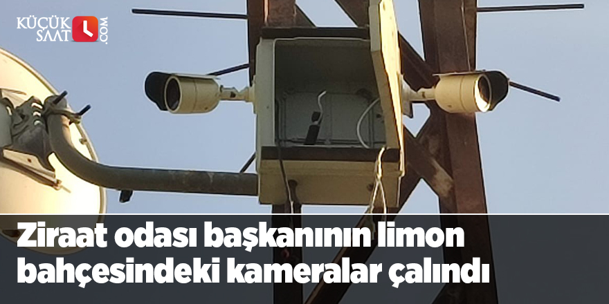 Ziraat odası başkanının limon bahçesindeki kameralar çalındı