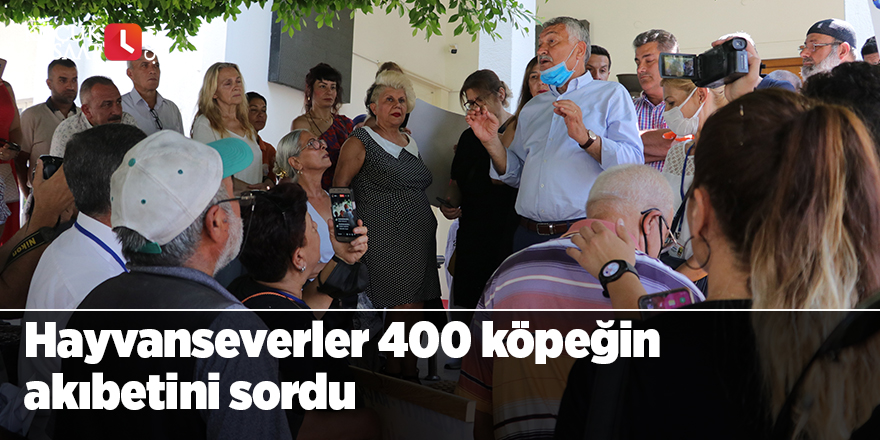 Hayvanseverler 400 köpeğin akıbetini sordu