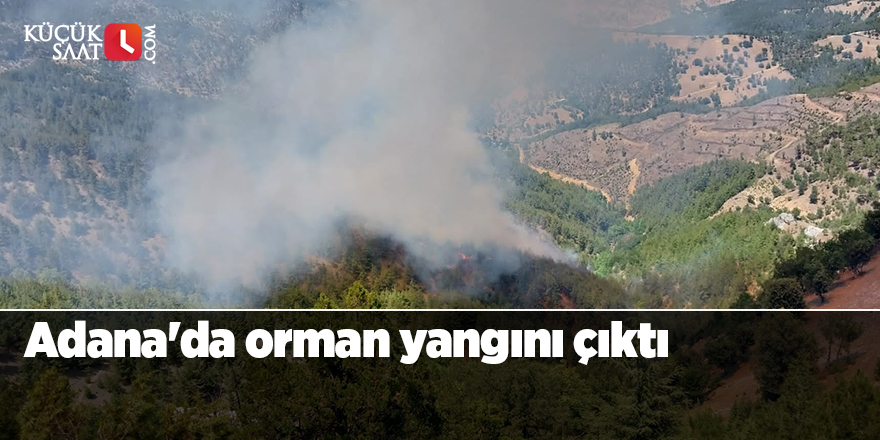 Adana'da orman yangını çıktı