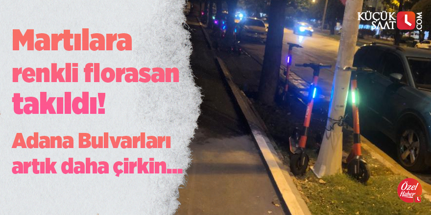 Martılara renkli florasan takıldı! Adana Bulvarları artık daha çirkin...