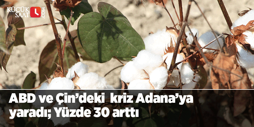 ABD ve Çin’deki  kriz Adana’ya yaradı; Yüzde 30 arttı