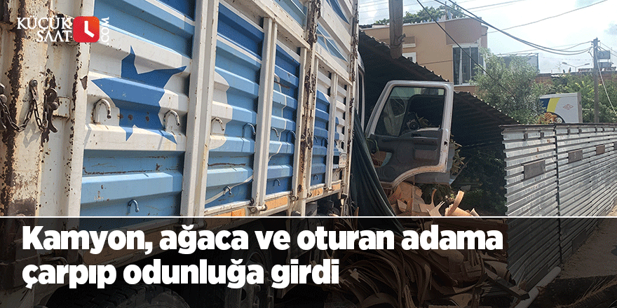 Kamyon, ağaca ve oturan adama çarpıp odunluğa girdi