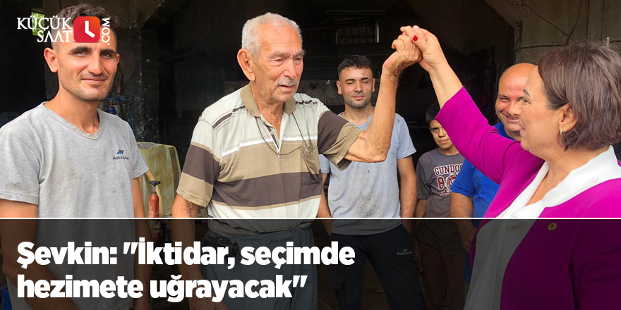 Şevkin: "İktidar, seçimde hezimete uğrayacak"