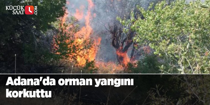 Adana'da orman yangını korkuttu