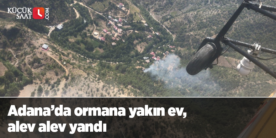 Adana’da ormana yakın ev, alev alev yandı