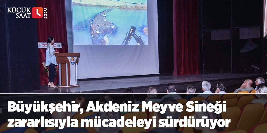 Büyükşehir, Akdeniz Meyve Sineği zararlısıyla mücadeleyi sürdürüyor