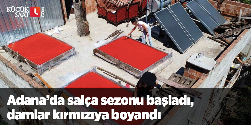 Adana’da salça sezonu başladı, damlar kırmızıya boyandı