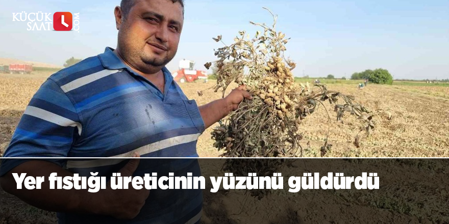 Yer fıstığı üreticinin yüzünü güldürdü