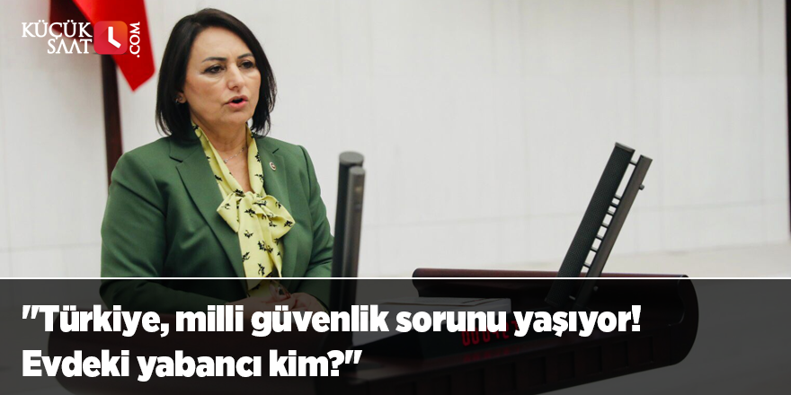 "Türkiye, milli güvenlik sorunu yaşıyor! Evdeki yabancı kim?"