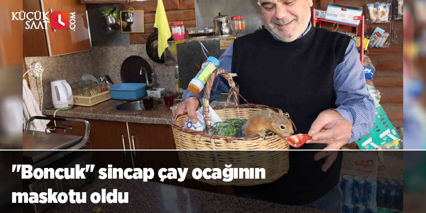 "Boncuk" sincap çay ocağının maskotu oldu