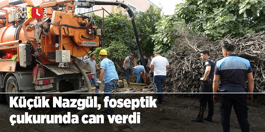 Küçük Nazgül, foseptik çukurunda can verdi