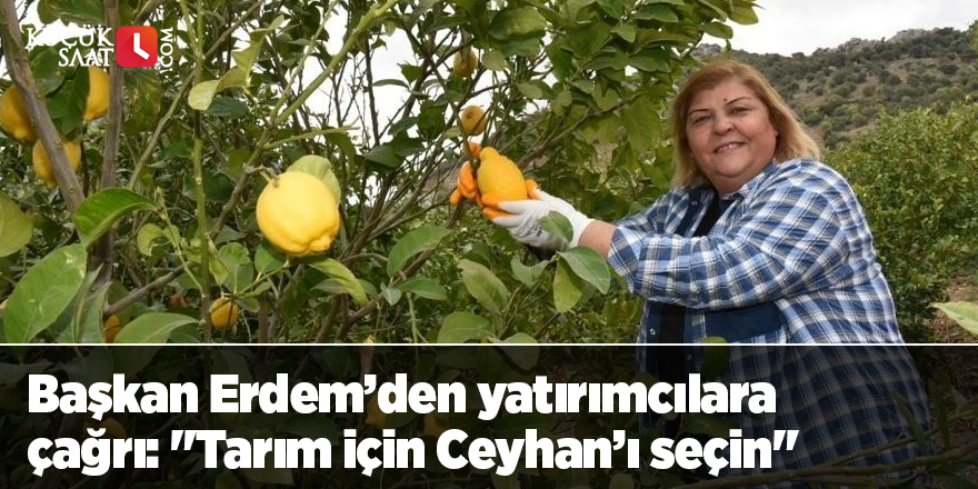 Başkan Erdem’den yatırımcılara çağrı: "Tarım için Ceyhan’ı seçin"