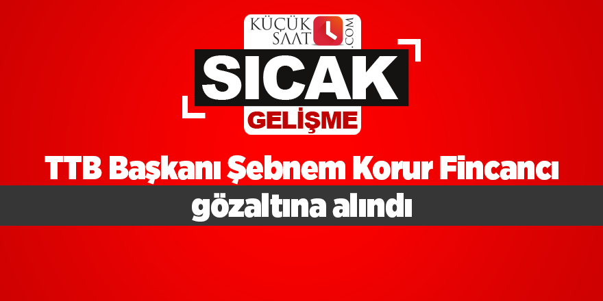 TTB Başkanı Şebnem Korur Fincancı gözaltına alındı