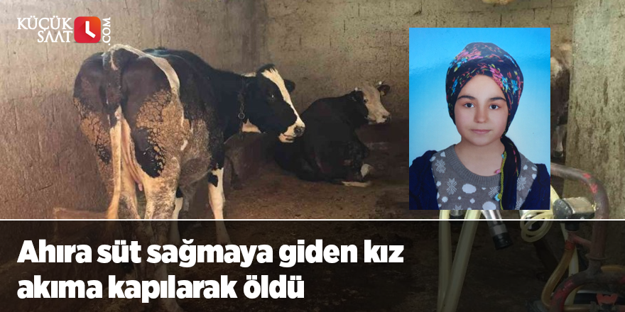 Ahıra süt sağmaya giden kız akıma kapılarak öldü