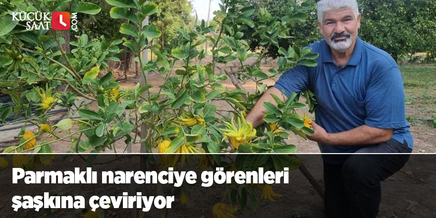 Parmaklı narenciye görenleri şaşkına çeviriyor