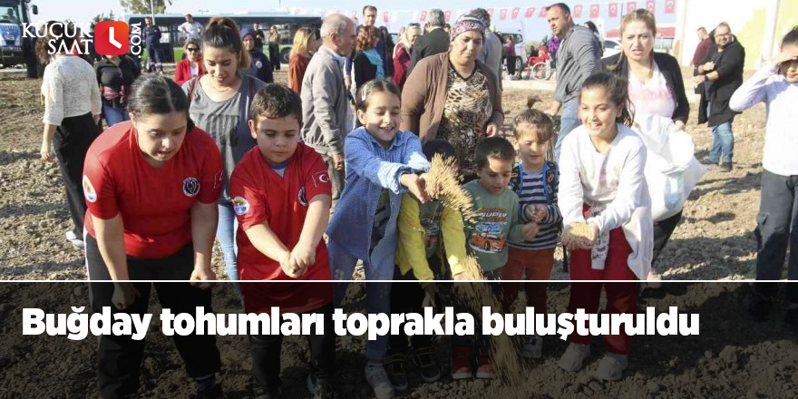 Buğday tohumları toprakla buluşturuldu