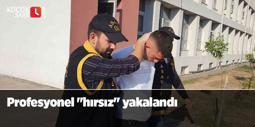 Profesyonel "hırsız" yakalandı