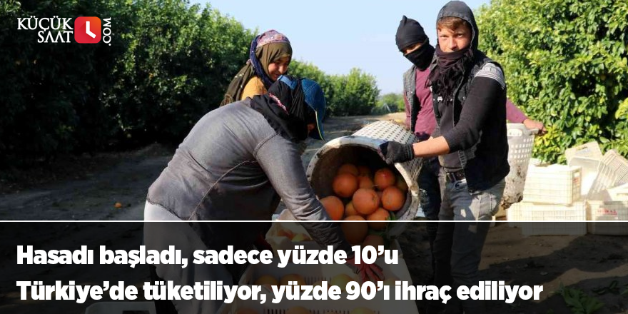 Hasadı başladı, sadece yüzde 10’u Türkiye’de tüketiliyor, yüzde 90’ı ihraç ediliyor