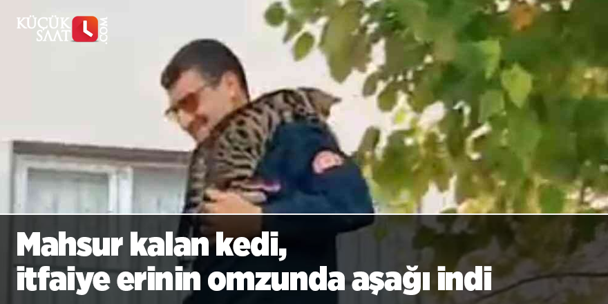 Mahsur kalan kedi, itfaiye erinin omzunda aşağı indi