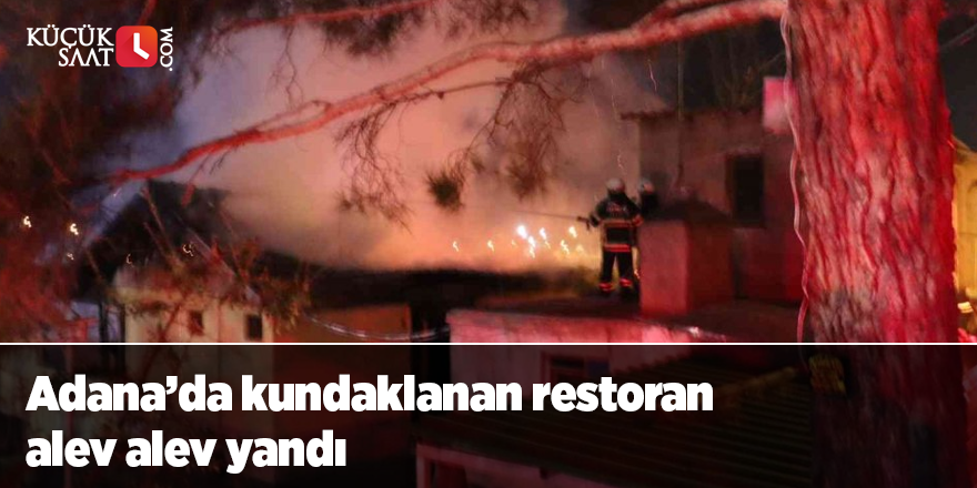 Adana’da kundaklanan restoran alev alev yandı