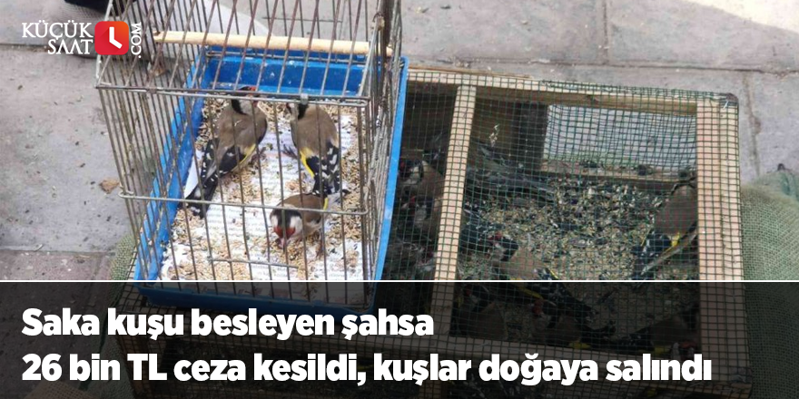 Saka kuşu besleyen şahsa 26 bin TL ceza kesildi, kuşlar doğaya salındı