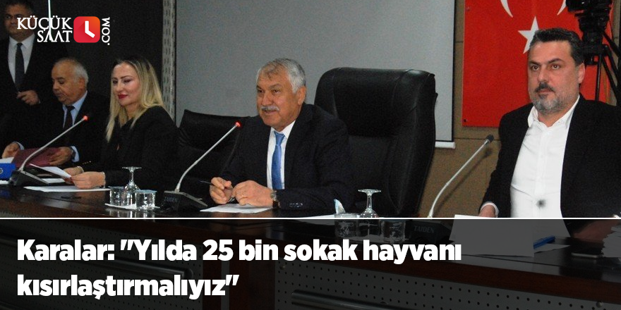 Karalar: "Yılda 25 bin sokak hayvanı kısırlaştırmalıyız"