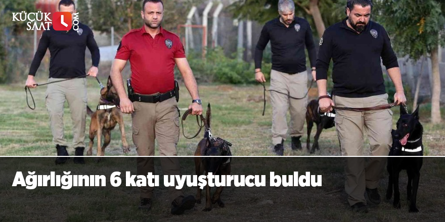 Ağırlığının 6 katı uyuşturucu buldu