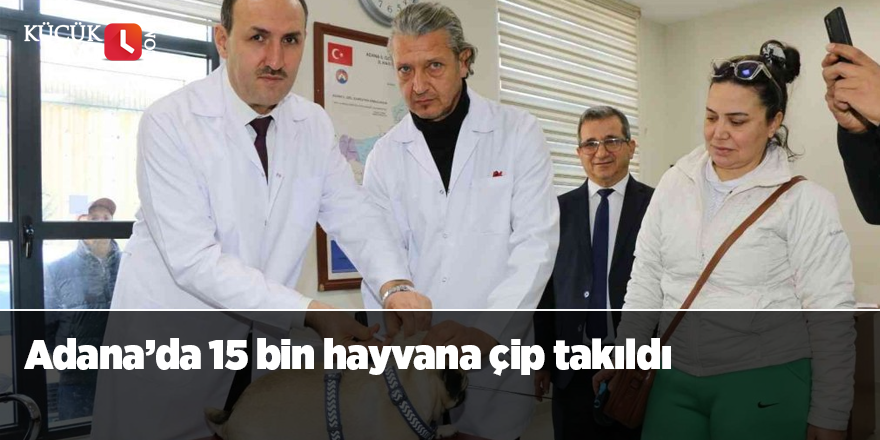 Adana’da 15 bin hayvana çip takıldı