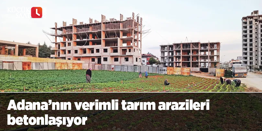 Adana’nın verimli tarım arazileri betonlaşıyor