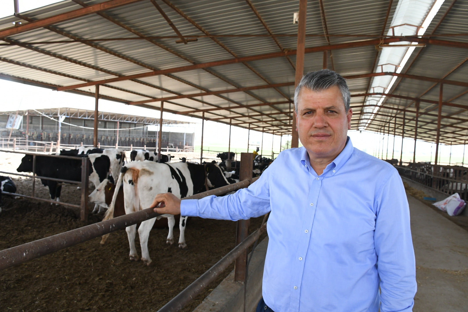 "Hayvancılıkta şap tehlikesi büyüyor"