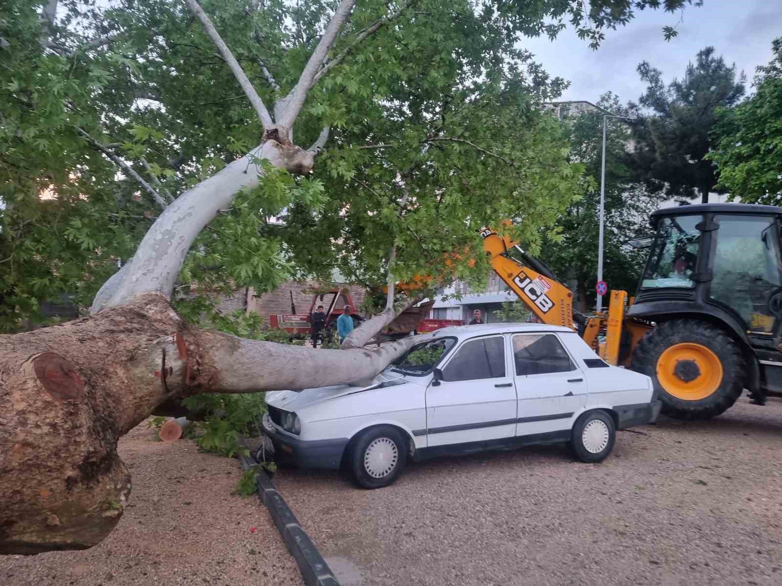 Adana'da 10 dakikalık yağan yağmur ağaç devirdi, dereleri taşırdı