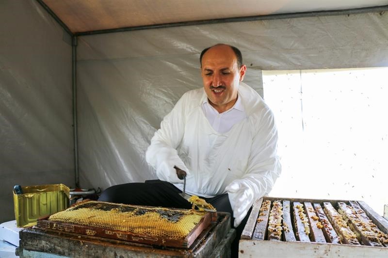 Adana’dan bal hasadı başladı