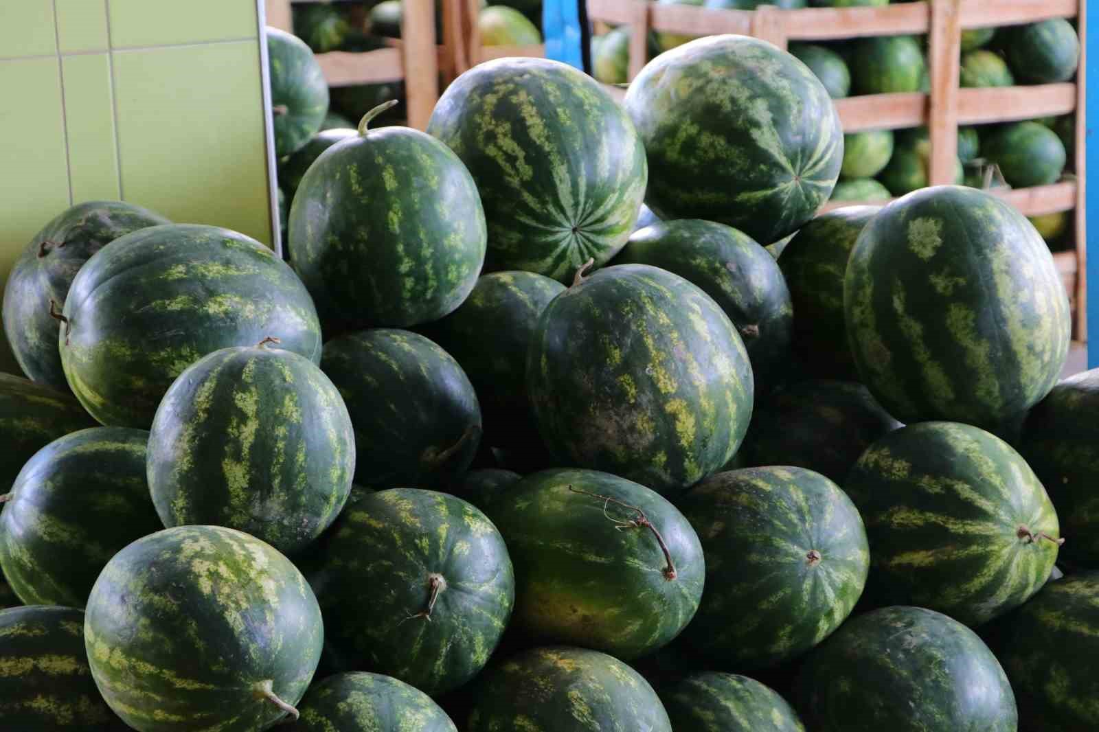 Serin giden hava, karpuzun fiyatını 1 liraya kadar düşürdü