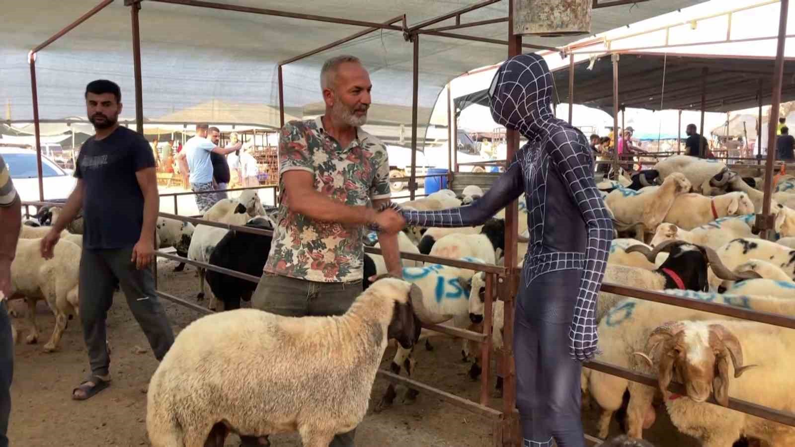 ’Örümcek Adam’ kurban pazarında