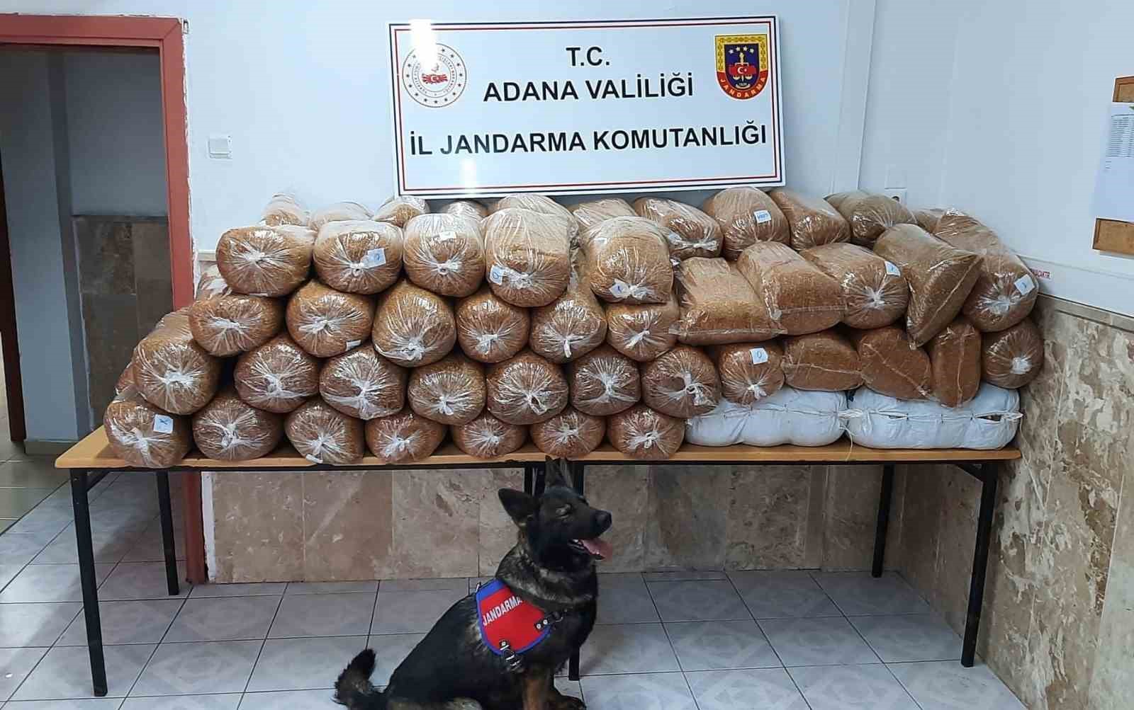 Adana’da jandarma son 3 ayda 2 bin 401 aranan şahsı yakaladı