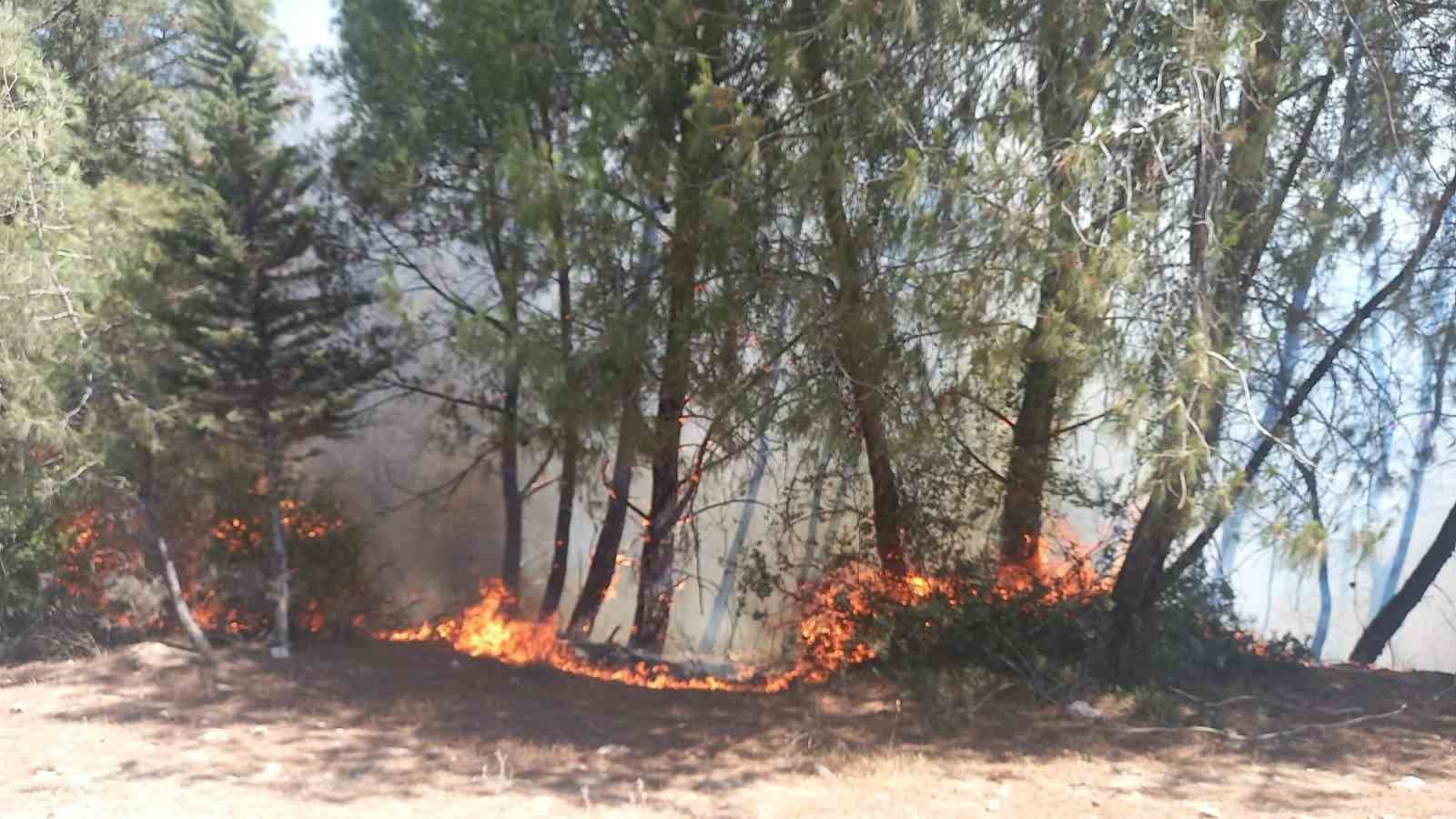 Adana Karaisalı'da başlayan orman yangını kontrol altına alındı