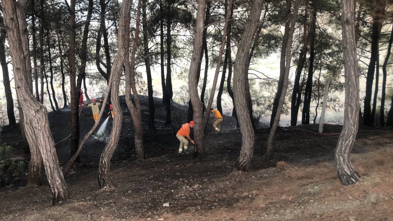 Kozan'da yangın söndürüldü, vatandaş piknikçilere tepki gösterdi