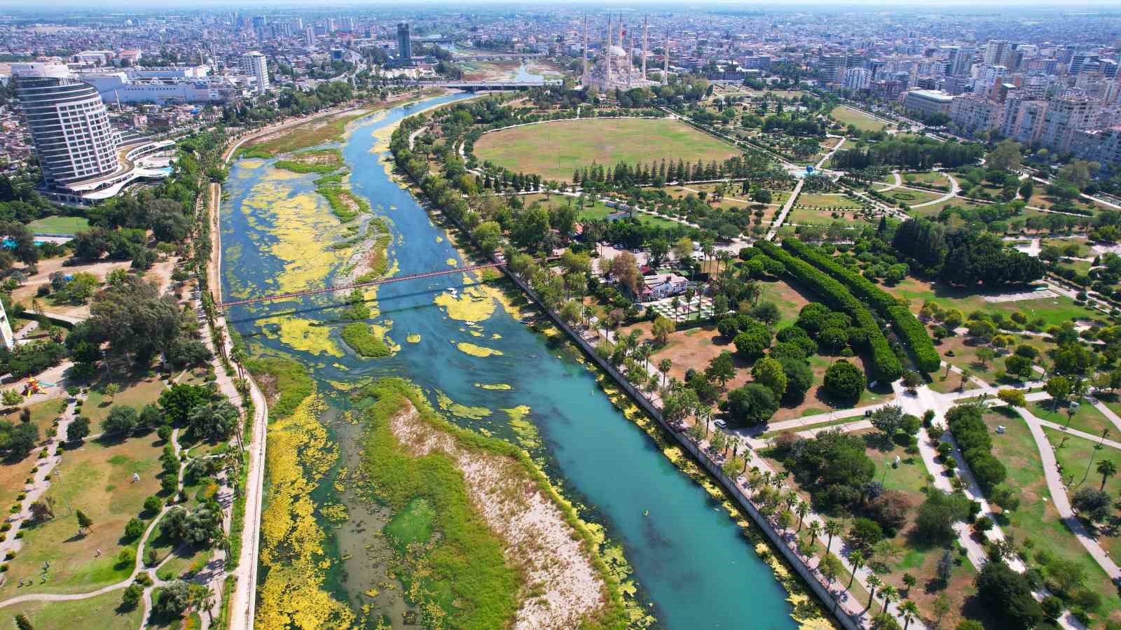 Seyhan Nehri can çekişiyor: Yosunlar nehri istila etti, otlar insan boyuna yaklaştı