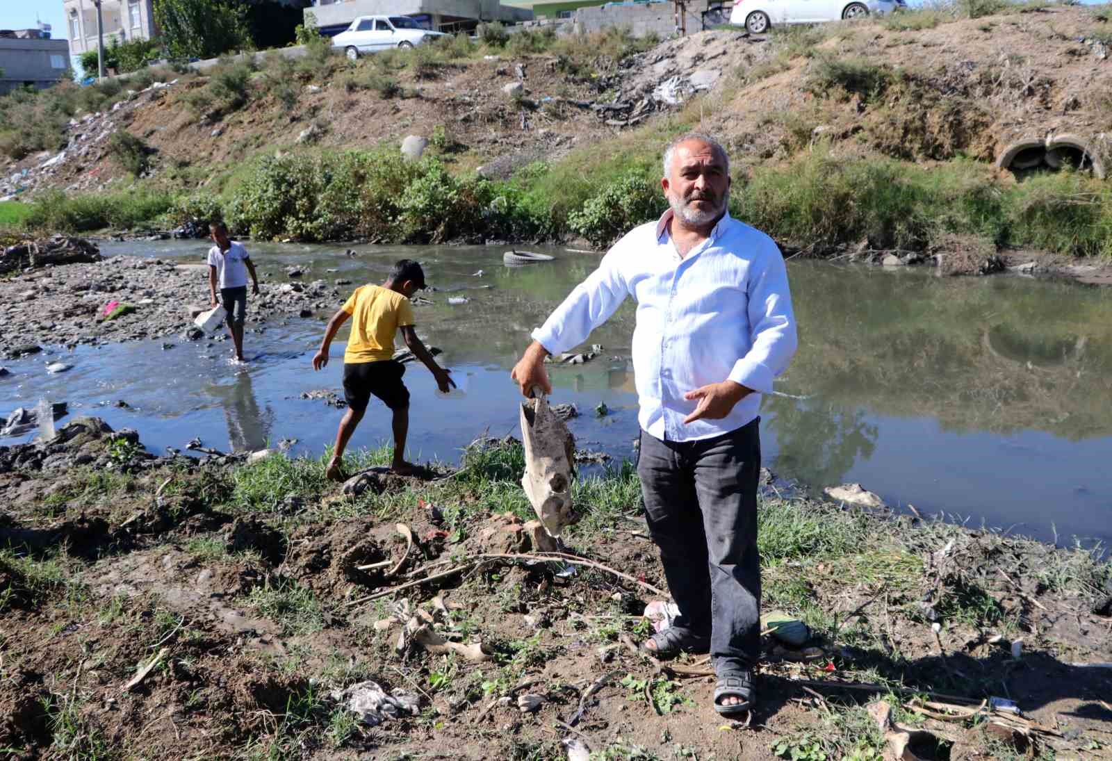 At kemikleri, ölü hayvanlar ve lağım suyu arasında kurbağa avı