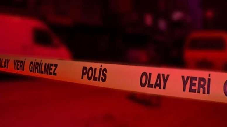 Adana’da 10 ayda en az 16 kadın öldürüldü