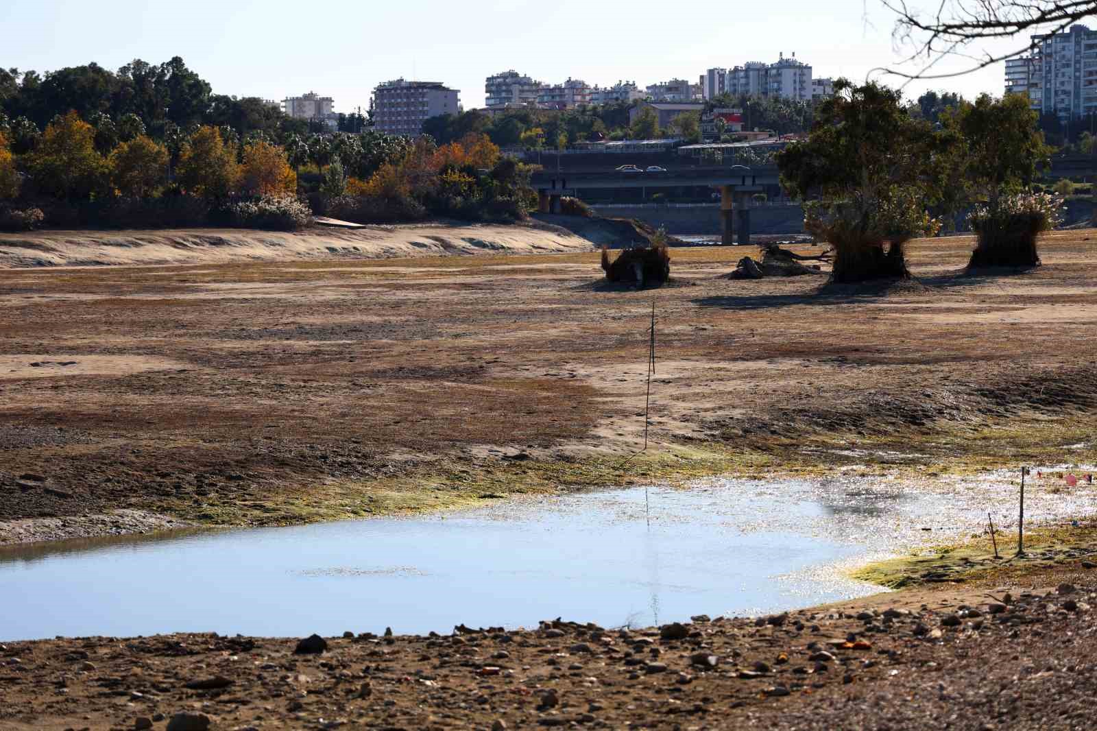 Seyhan Nehri’nde sular kesildi, balıkçılara gün doğdu