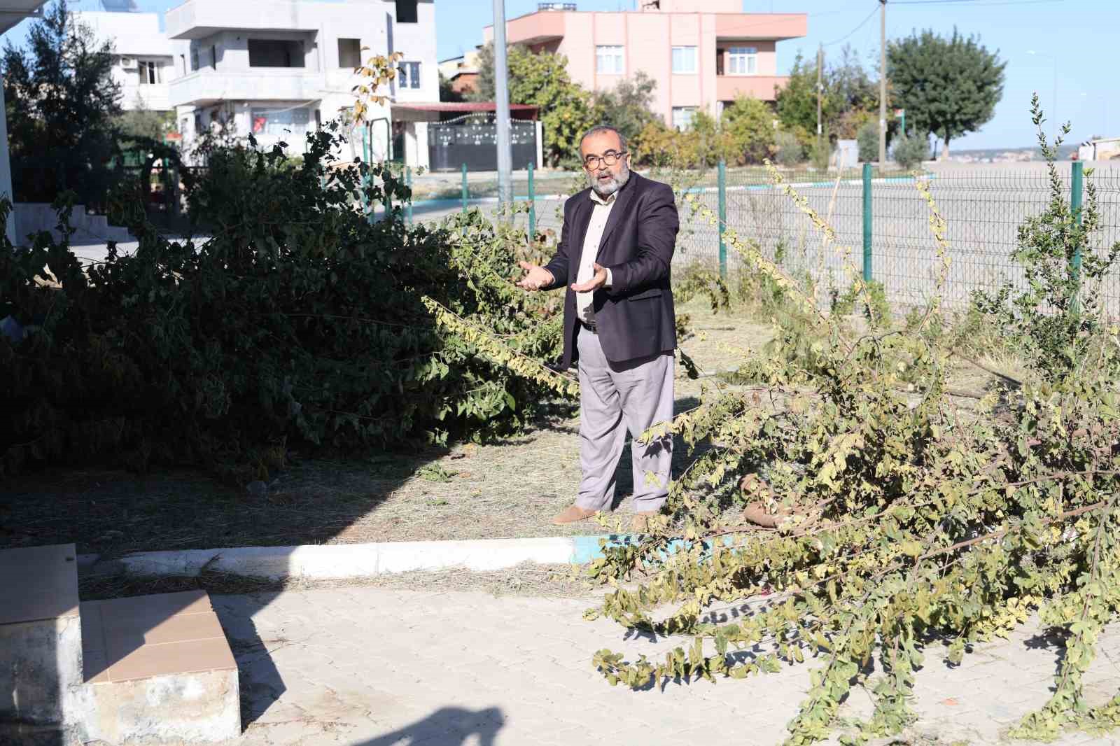 Adana'da imam ile dernek başkanı arasında ’ağaç kesme’ tartışması