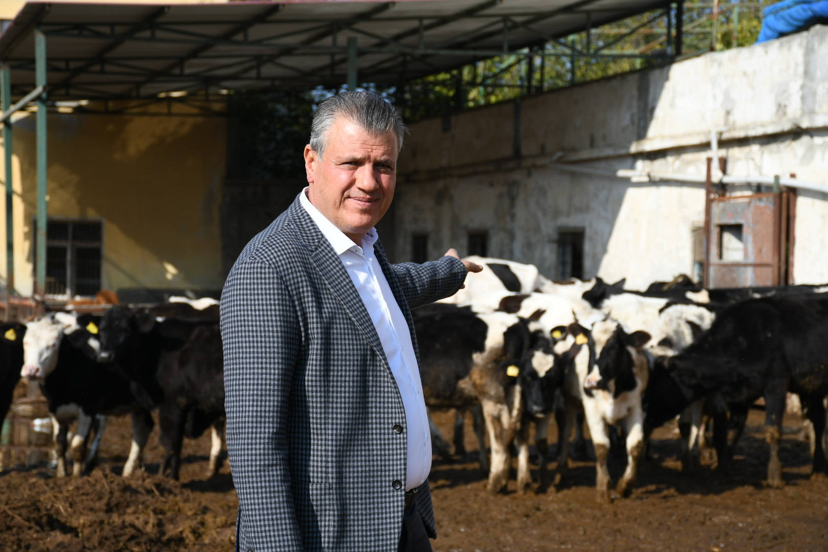 "Kırmızı ette yaşanan sorunlara iktidar neden oldu"