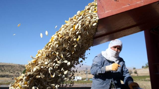 Adana'dan 2 milyar 901 milyon dolarlık ihracat yapıldı