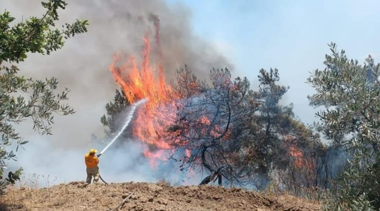 Adana'da orman yangını kontrol altına alındı