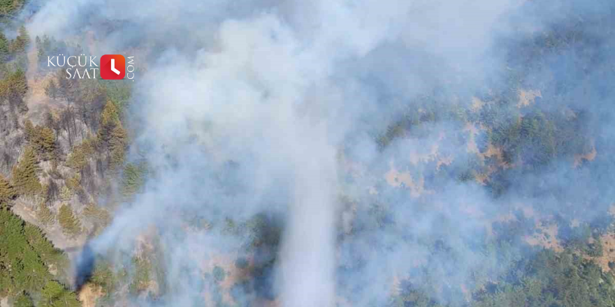 Adana’da orman yangını