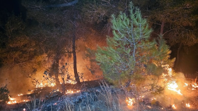 Adana'da 2 günde 10 orman yangını çıktı: 'İnsan eli' uyarısı