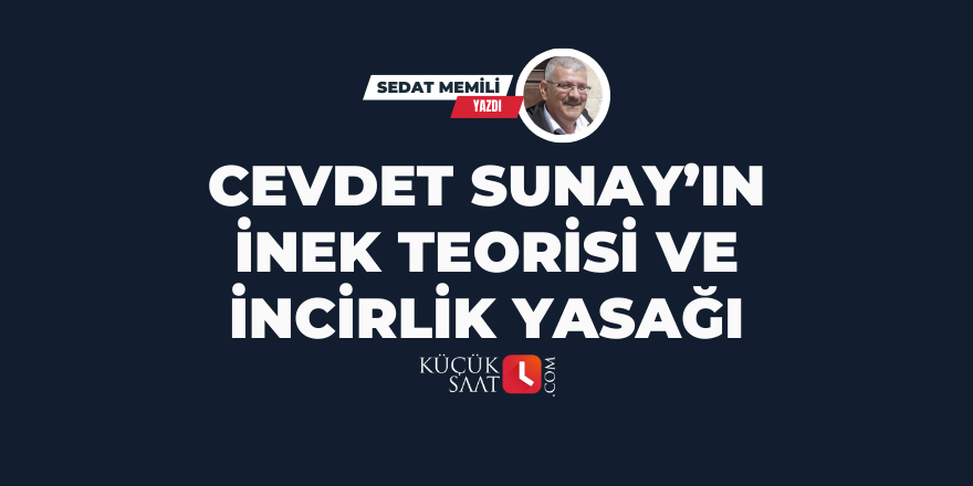 Cevdet Sunay’ın İnek Teorisi Ve İncirlik Yasağı